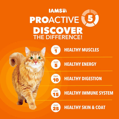 PROACTIVE HEALTH Adult Healthy Dry Cat Food with Chicken Cat Kibble, 7 Lb. Bag