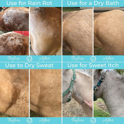 Daily Preventative Powder for Horses - Safe & Effective Equine Skin Conditioner Sweet Itch, Skin Funk, & Rain Rot - Dry Horse Shampoo, 64 Oz Formula with All Natural Ingredients