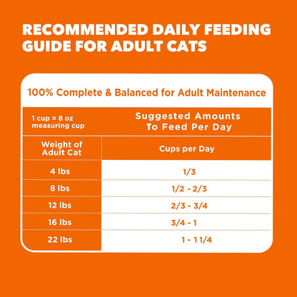 PROACTIVE HEALTH Adult Healthy Dry Cat Food with Chicken Cat Kibble, 7 Lb. Bag